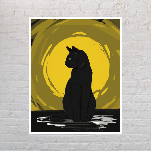 Midnight Cat