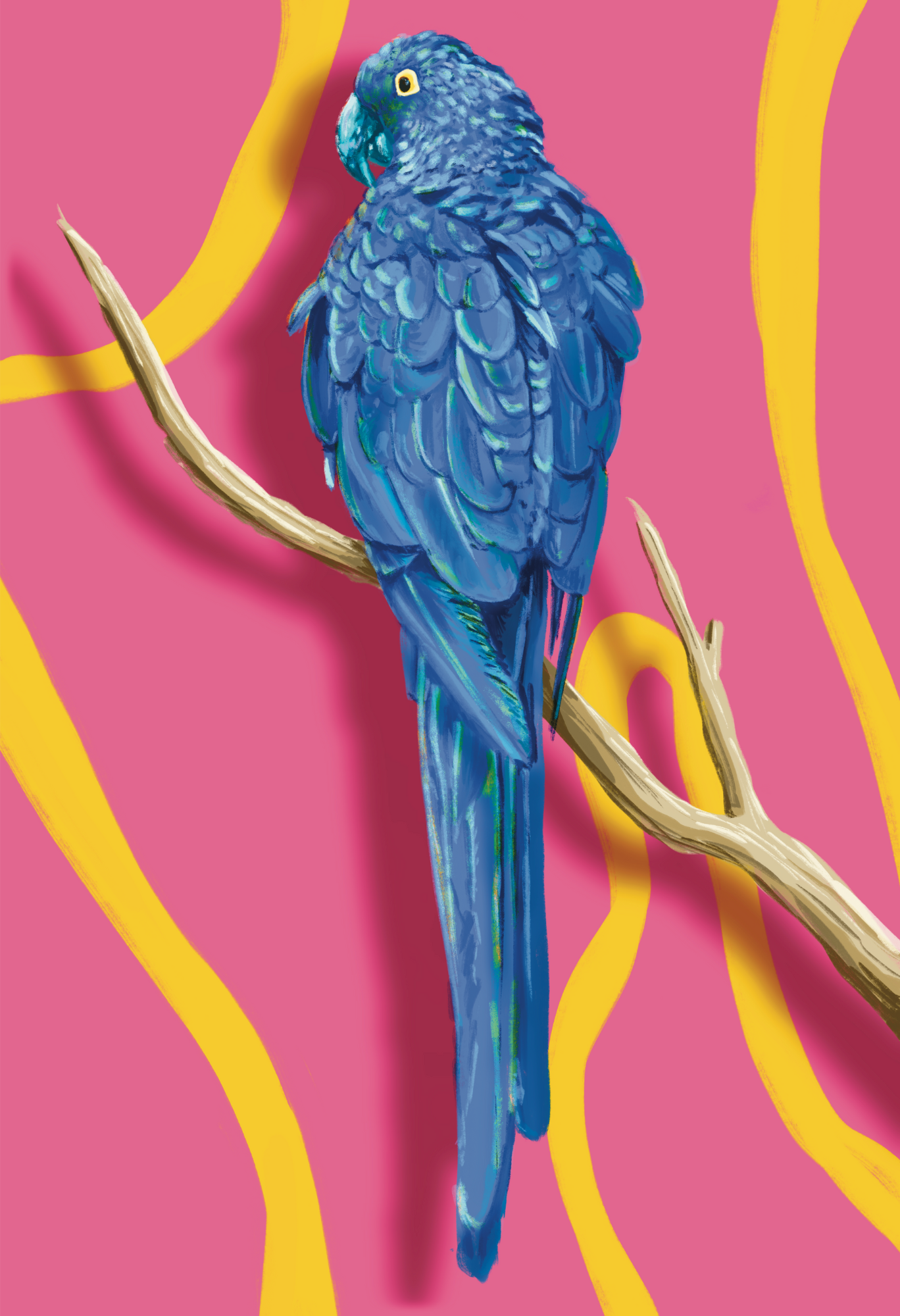 Blue Parrot