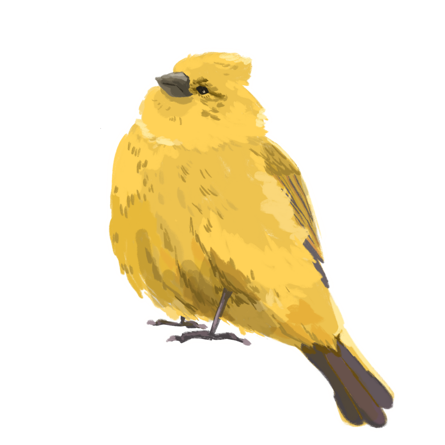 Yellow Bird