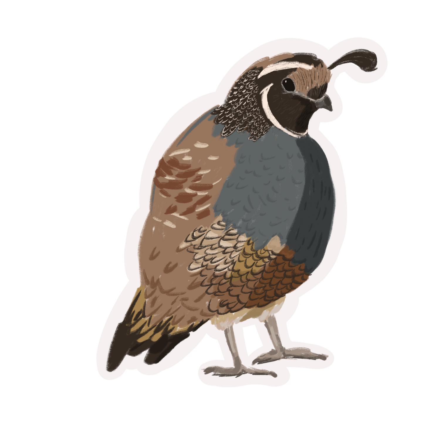 Quail